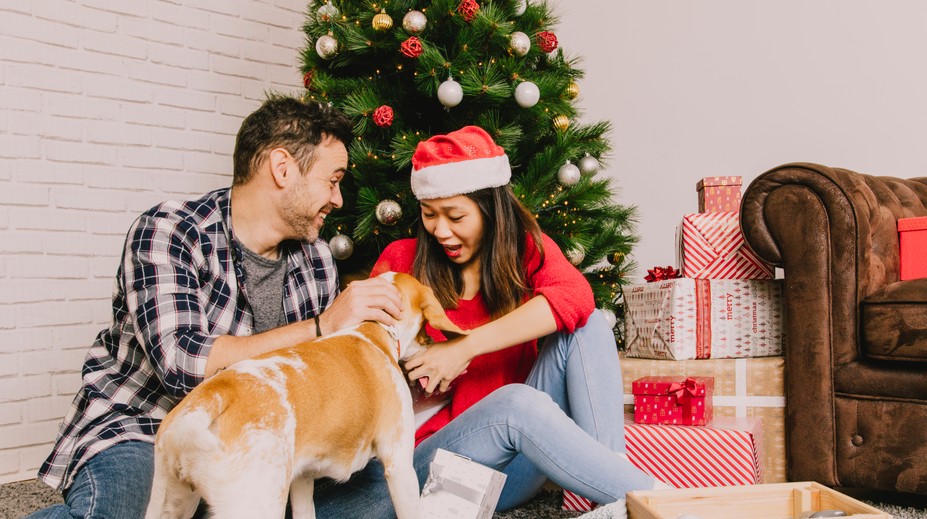 Zvieratá ako darček: Pri výbere domáceho miláčika myslite zodpovedne