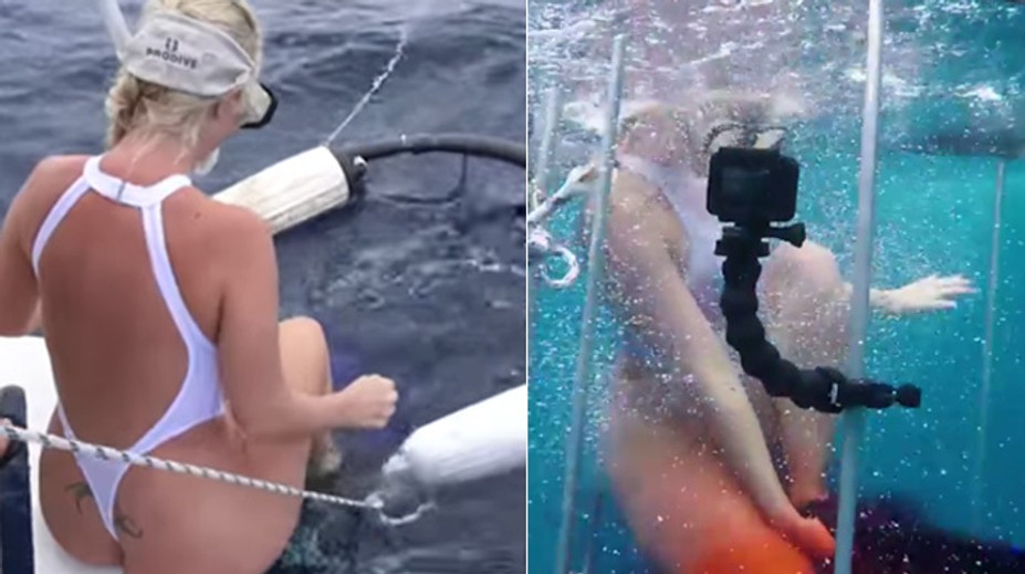 Pornohviezda skočila medzi žralokov. Zaliala ju krv
