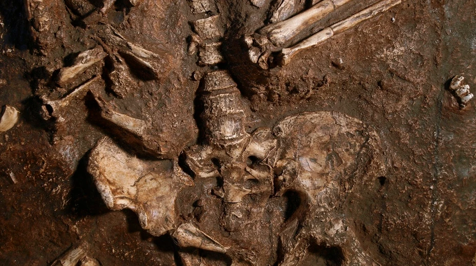 Moderné ženy majú jednu časť tela rovnakú ako neandertálci. U mužov sa evolúcia vydala iným smerom