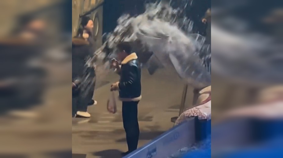 VIDEO: Muž si v akváriu napriek zákazu zapálil cigaretu. Bieluha mu dala lekciu