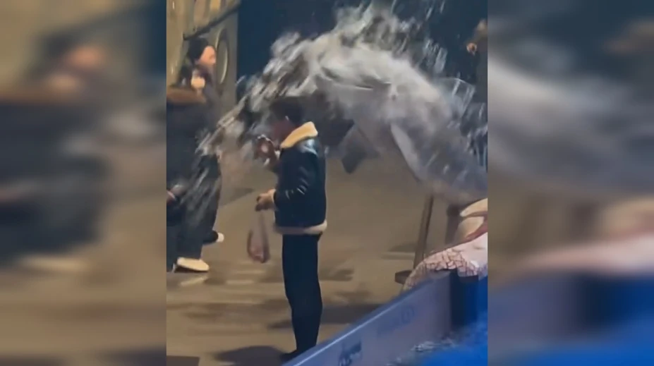 VIDEO: Muž si v akváriu napriek zákazu zapálil cigaretu. Bieluha mu dala lekciu