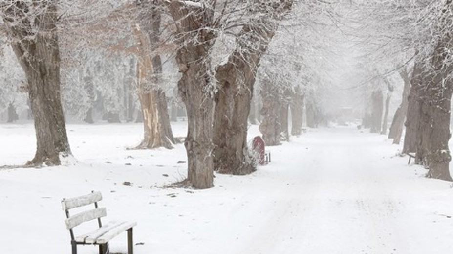 Polárny vír sa zrúti oveľa skôr, stane sa tak len štvrtýkrát za 70 rokov. Ovplyvní to Slovensko
