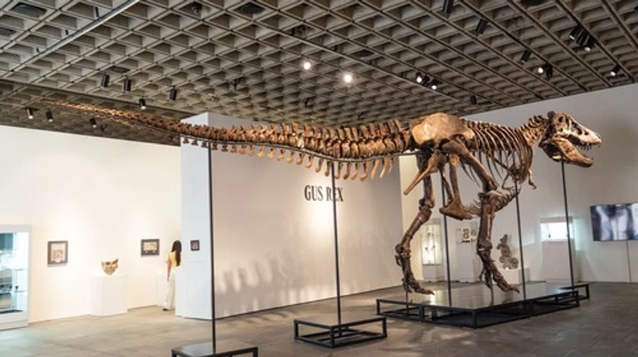 Padol nový rekord. Kostru tyranosaura vydražili za astronomickú sumu