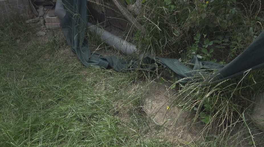 Súrodenci z Pribety našli na dvore mŕtveho jazvečíka. Rodina viní problémového suseda