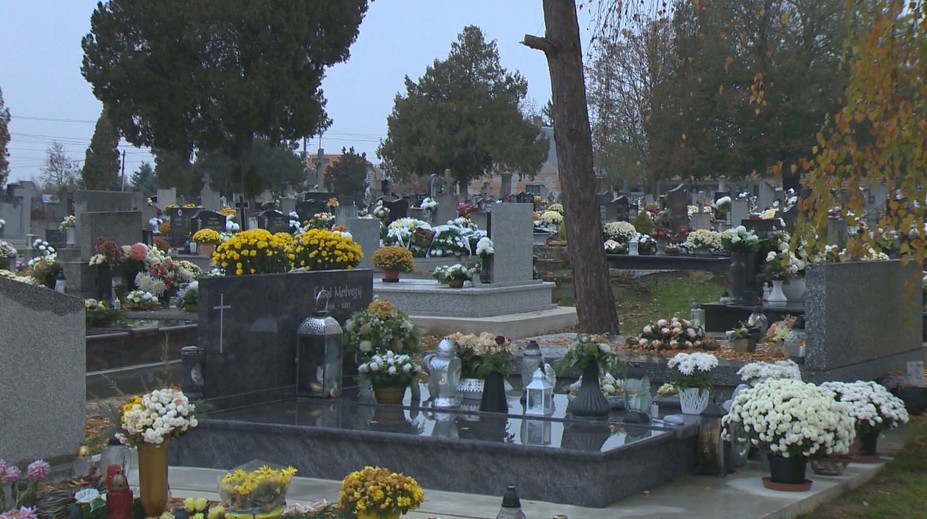 Boja sa, že im stromy spadnú na hroby. Výrub však úrad nepovolil