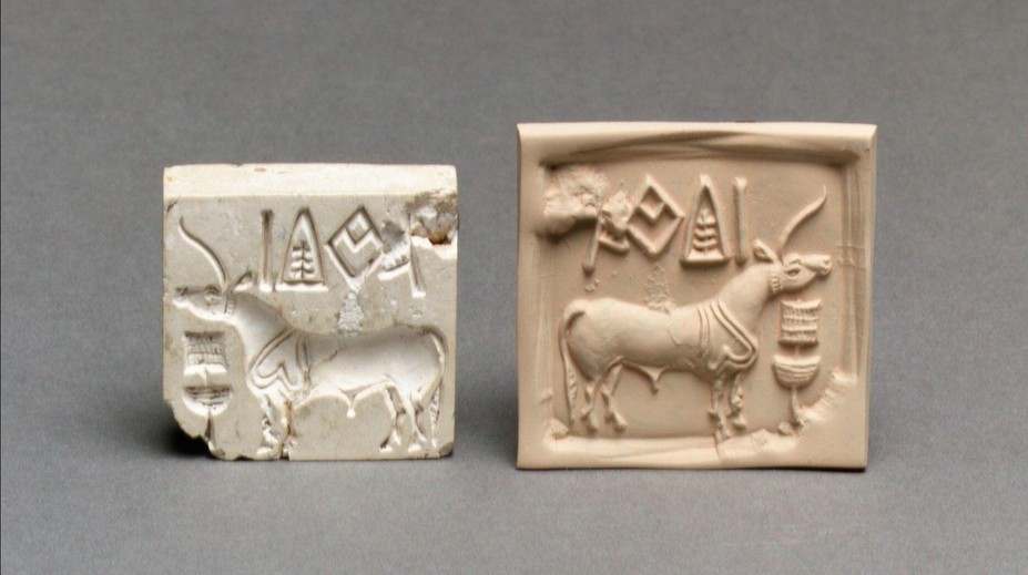 Nikto nevie rozlúštiť starovekú záhadu. Za jej vyriešenie ponúkajú miliónovú odmenu