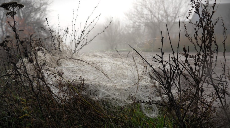 Donbas pokryla smrtiaca pavučina. Obrovský problém, s ktorým sa Ukrajina bude boriť ešte veľa rokov po vojne