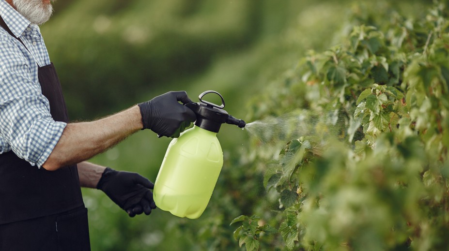 Tajomstvo zdravých ovocných stromov. Osvedčenými látkami sú močovina a meď