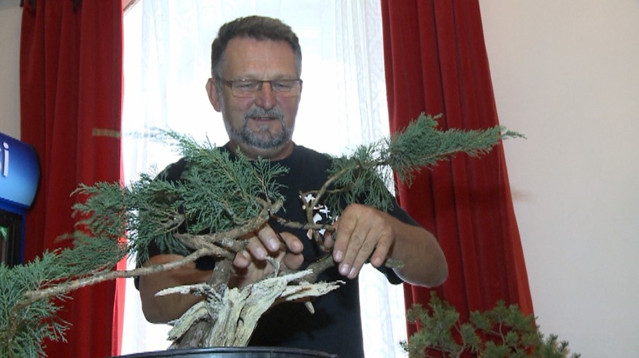 Pán Marián patrí medzi špičku v Európe. Toto dokážu vytvoriť jeho zlaté ručičky