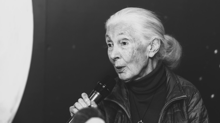 Zomrela svetoznáma biologička Jane Goodallová (†91). Svoj život zasvätila šimpanzom