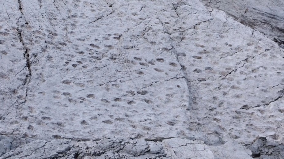 20-tisíc dinosaurových stôp v Taliansku: Šokujúci paleontologický objav označujú za olympijský dar