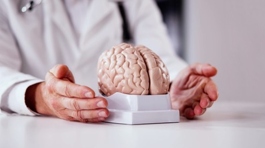 Horčík ako kľúč k zdraviu mozgu? Vedci varujú pred jeho nedostatkom