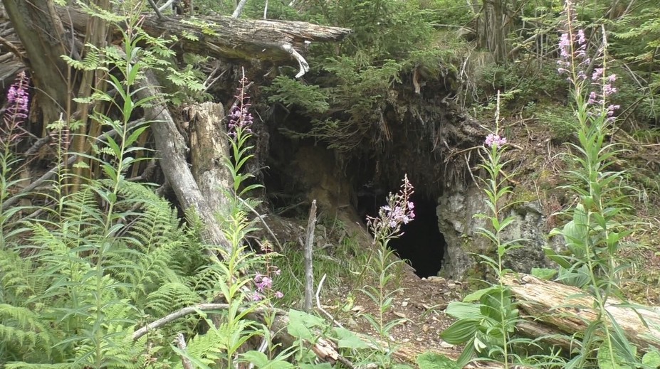 Kriváň ukrýva mnoho malých baní. Naši predkovia v nich hľadali zlato