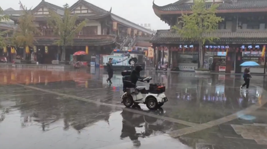 VIDEO: Šofér, akého svet nevidel. Labrador sa preháňal mestom na elektrickom skútri