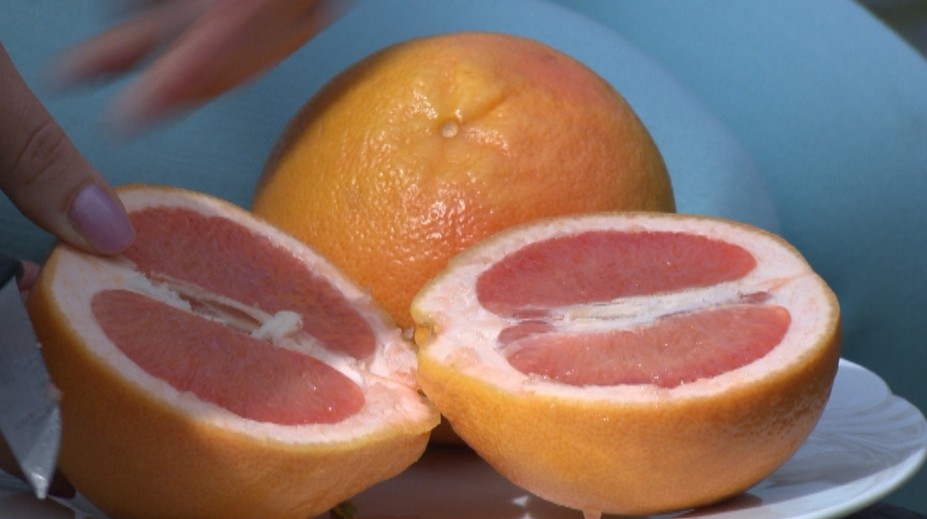 Lekári varujú. Grapefruit môže byť poriadne nebezpečný