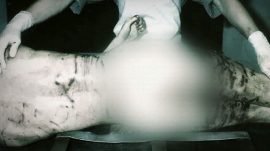 Len si chcel splniť sen. Mladíka (†18) po prekročení hranice roztrhali psy