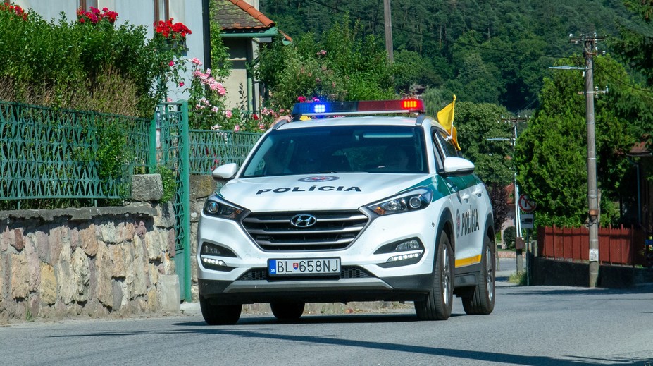 Brutálny útok psa na tri malé dievčatá pri Topoľčanoch. Všetky museli previezť do nemocnice