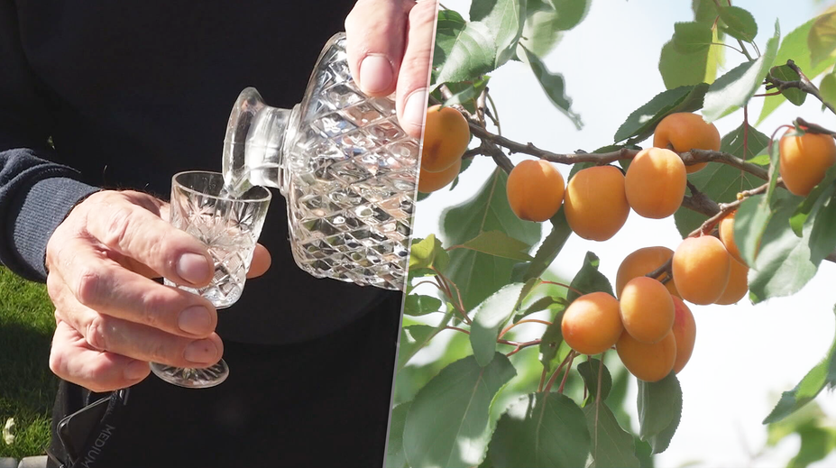 Ovocia je tento rok viac než dosť. Páleničiari sa tešia, no liter domácej vyjde poriadne draho