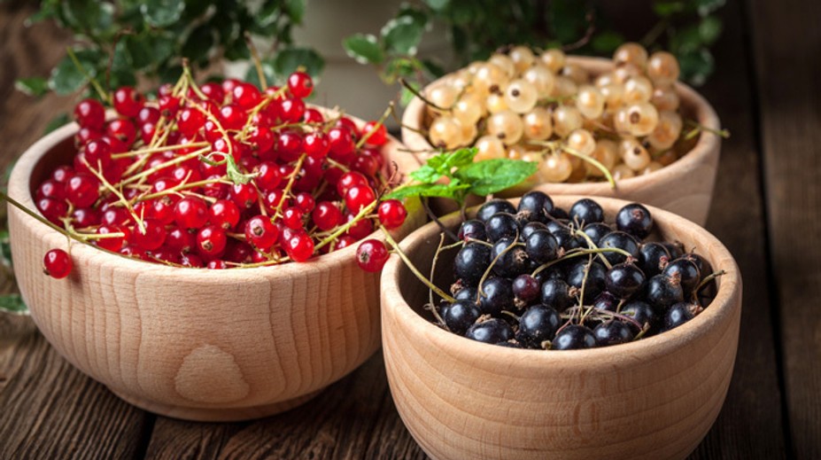 Zreje ovocie, ktoré prospieva imunite. Vyskúšajte dezert, ktorý ste v detstve milovali