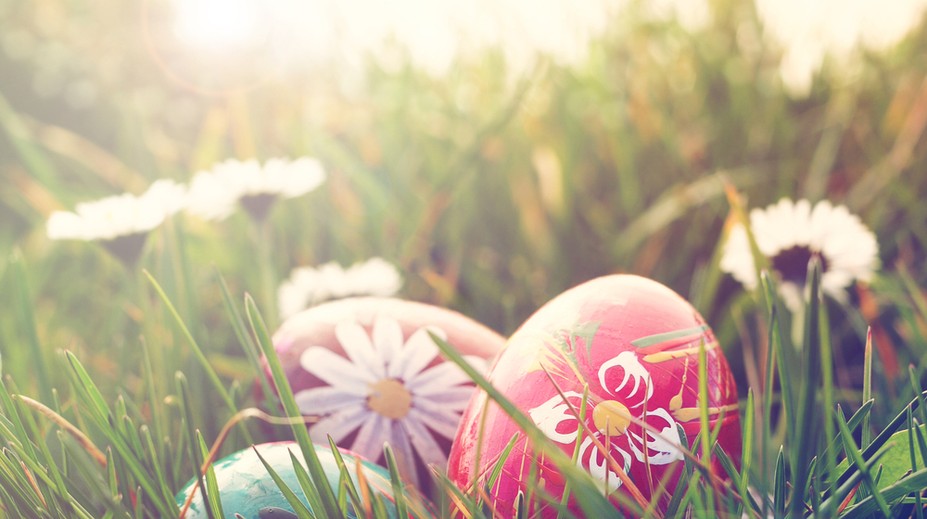 Neviete, čo máte zaželať ľudom na Veľkú noc? Prinášame vám tie najlepšie texty a vinše