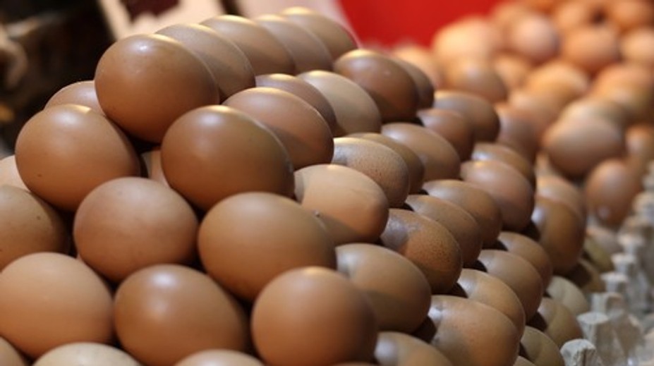 Na slovenskom trhu sa nachádzajú nevyhovujúce vajcia. Kontrolóri okamžite zakázali ich predaj