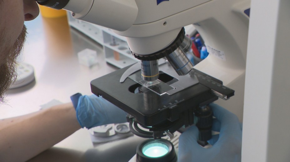 Vedci jasajú. Prelomový experiment dáva nádej tisícom párov