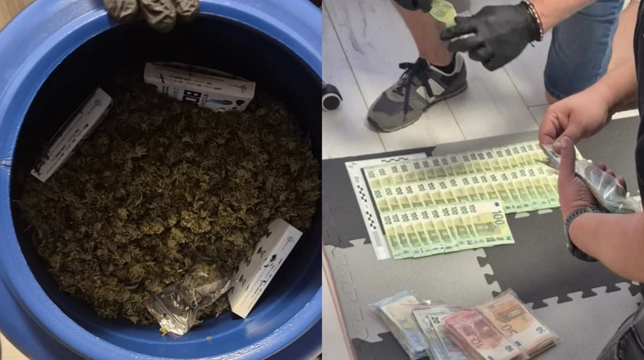FOTO: Tajná „záhradka“ pri Lučenci. Polícia zaistila desiatky rastlín marihuany aj 13-tisíc eur