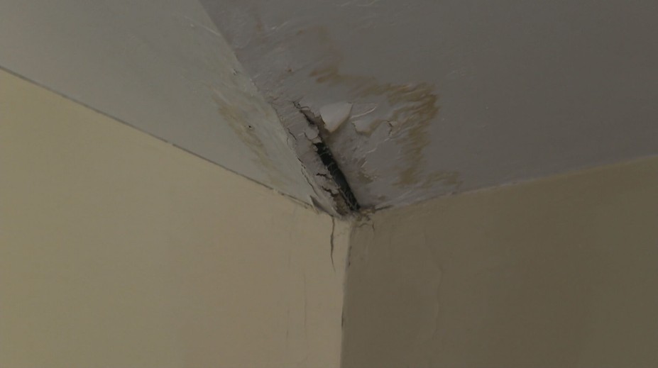 Študentov košického gymnázia trápi zatekajúca strecha. Peniaze na opravu sa rozhodli sami vyzbierať