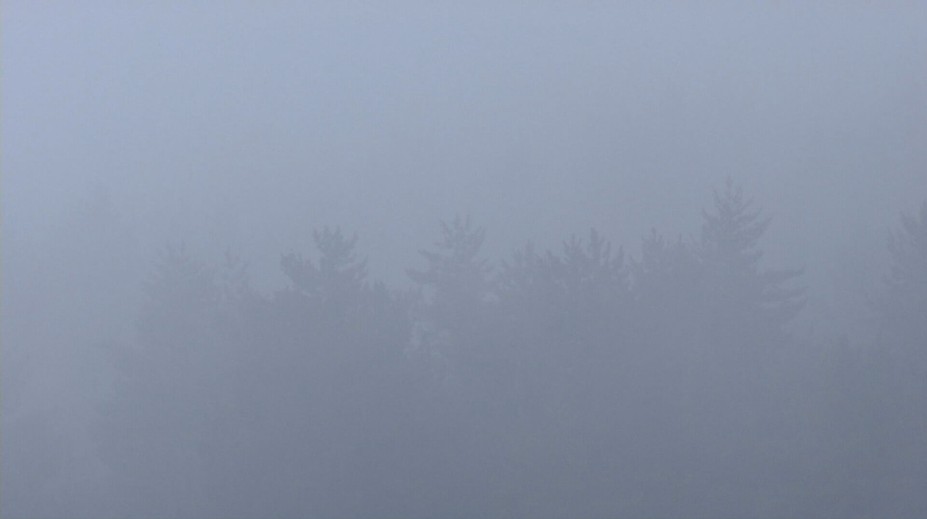 Slovensko v zajatí pochmúrnych dní. Následky sa už ukazujú aj v ambulanciách