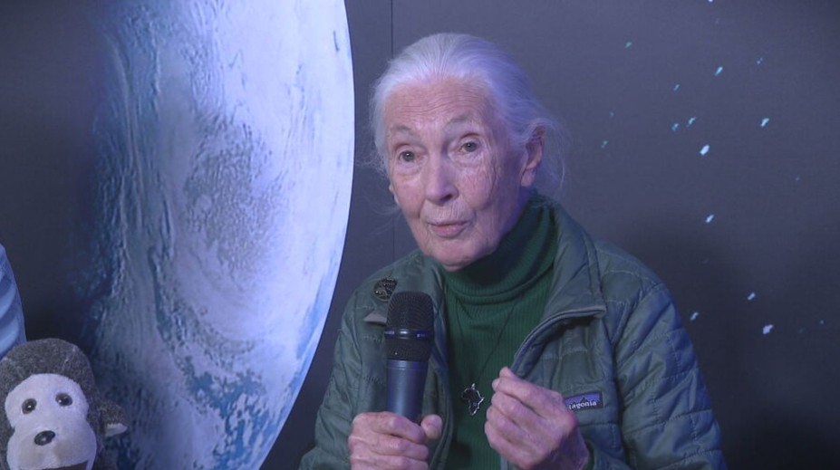 Festival Starmus: Spojil najbystrejšie mysle sveta a najtalentovanejších umelcov s rovnakým názorom na životné prostredie