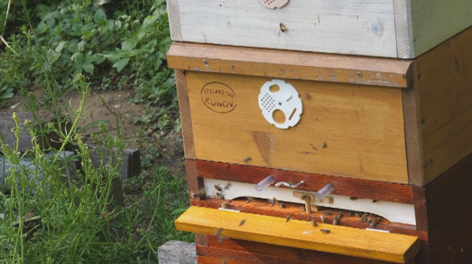 Včelárke na Záhorí ukradli úle. Zlodeja však usvedčilo logo a požičaný prívesný vozík