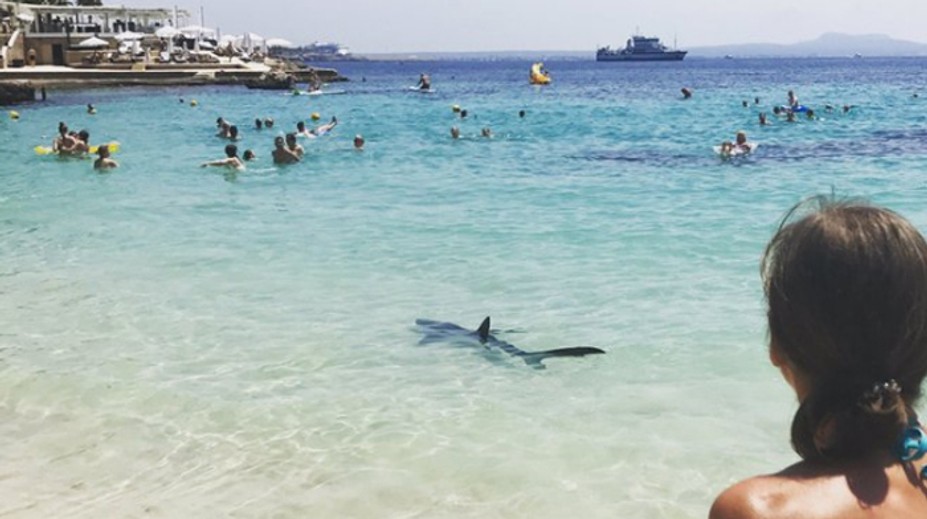 Vydesení turisti na Malorke. Vystrašil ich dvojmetrový žralok