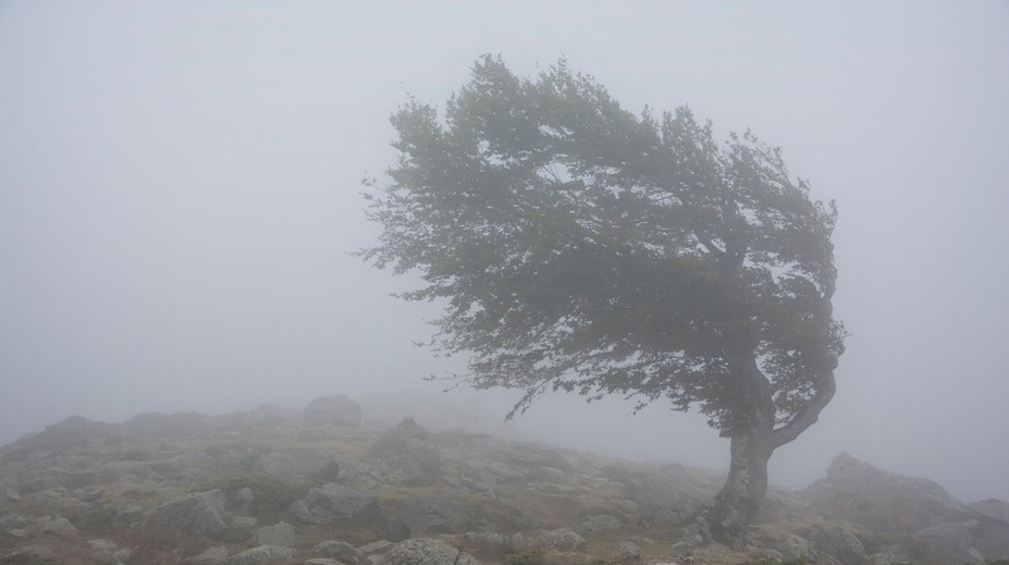 Obrovská zmena počasia: SHMÚ vydáva výstrahy, vietor môže dosahovať rýchlosť víchrice. Hrozia aj búrky