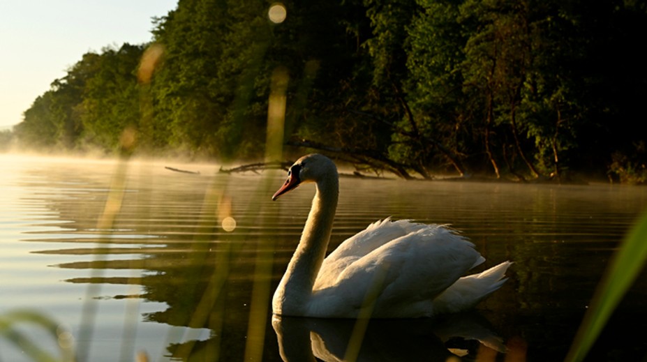 Tohtoročná jar patrí na západe medzi najchladnejšie za posledných 40 rokov