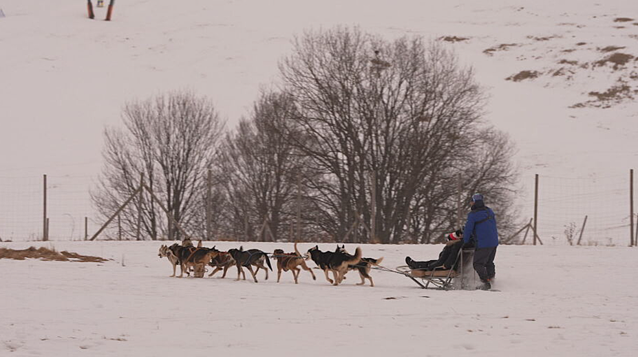 Na zasnežených Donovaloch je čoraz populárnejšia netradičná zimná aktivita