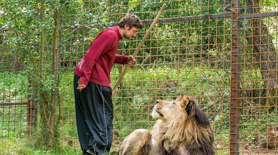 Chovateľ v Česku možno nešiel k levom dobrovoľne. Polícia preveruje aj vraždu