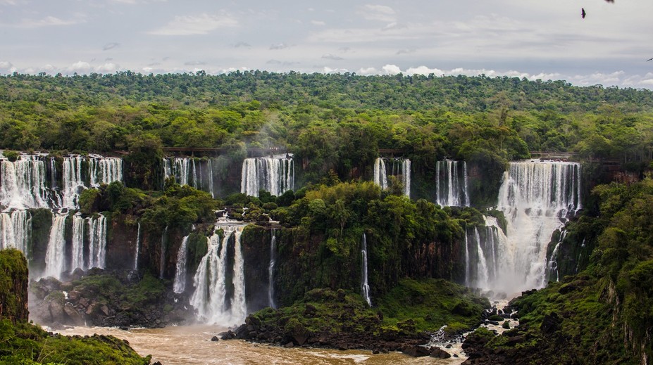 Mali odletieť do Brazílie. Keď sme sa na exotickú pracovnú cestu začali pýtať, envirorezort oznámil, že ju zrušili
