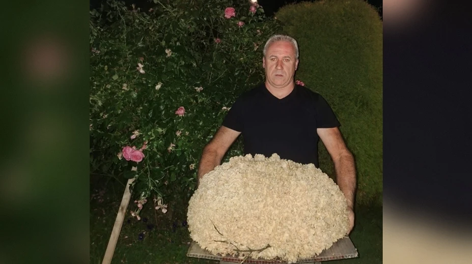 Išiel na ryby, vrátil sa s gigantickou vzácnou hubou. Josef prekonal národný rekord