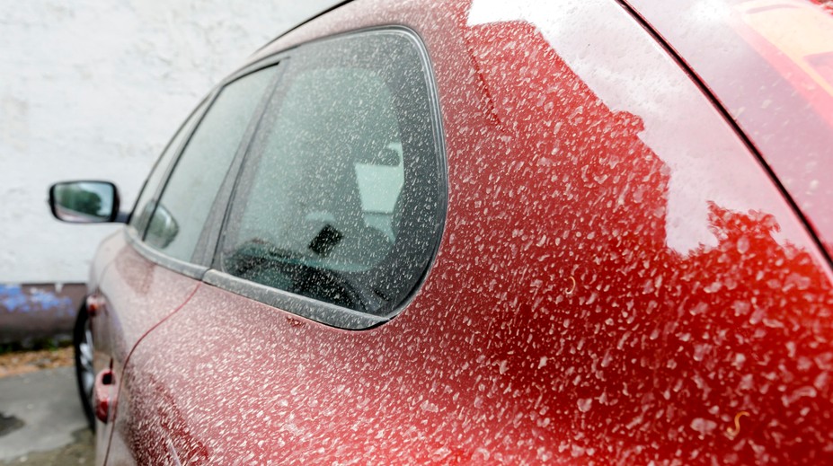 Saharský prach zavalí Slovensko aj Európu. Už pokrýva zvyšky snehu, obloha môže zmeniť farbu