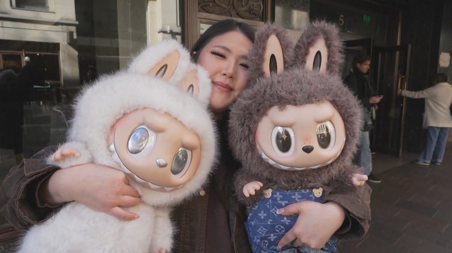 Nový bizarný trend opantal svet. Ľudia sú ochotní sa pre plyšového tvora dokonca aj pobiť