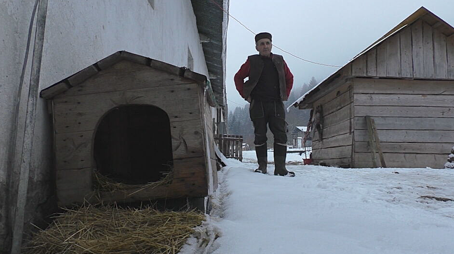 Prázdno za ovčínom aj na duši. Bačovi na strednom Slovensku niekto ukradol šesť psov