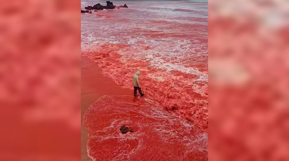 VIDEO: Ako výjav z biblie. More pri slávnej pláži zmenilo farbu na krvavočervenú