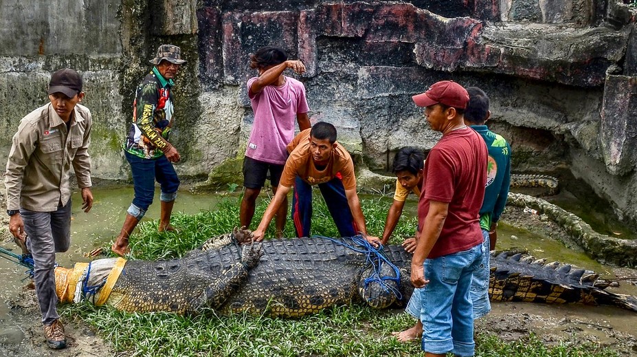 VIDEO: Hororový incident na exotickom ostrove. Ženu stiahol do mora obrovský krokodíl, potom sa vrátil s jej telom