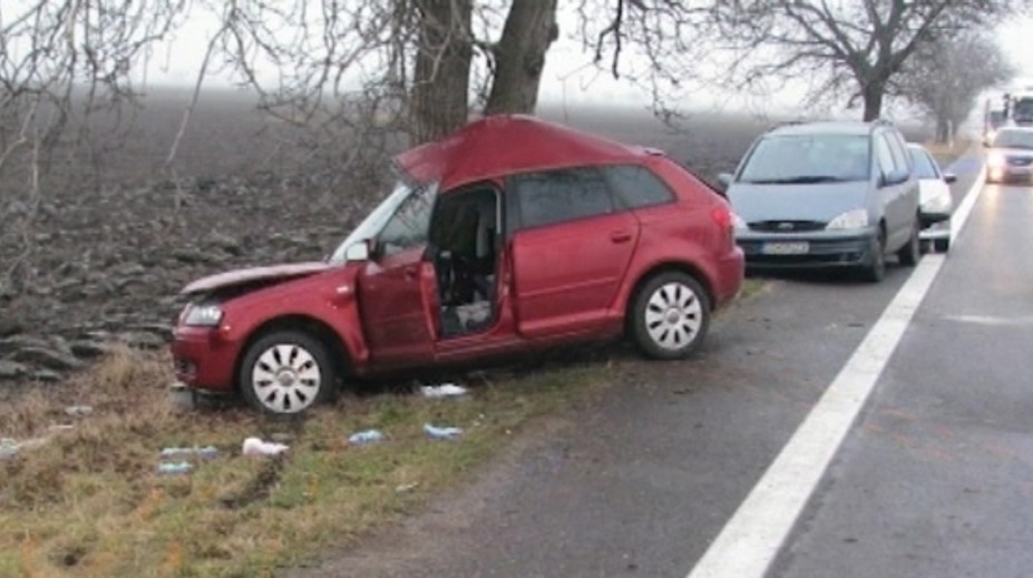 Česko zažíva ľadovú pohromu, v nedeľu sa má presunúť na Slovensko