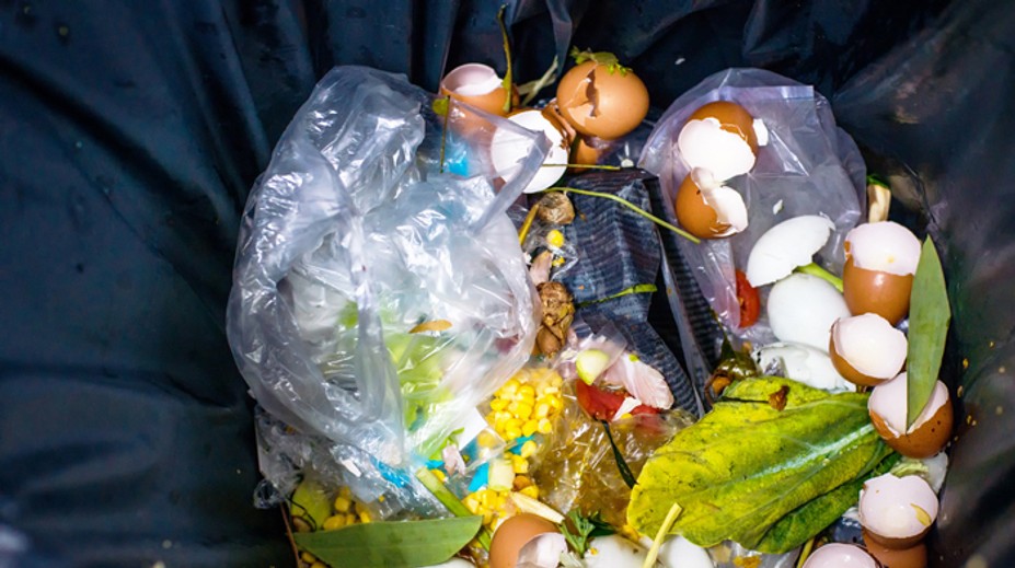 Slováci a plytvanie jedlom: Toto sú potraviny, ktoré najčastejšie vyhadzujeme