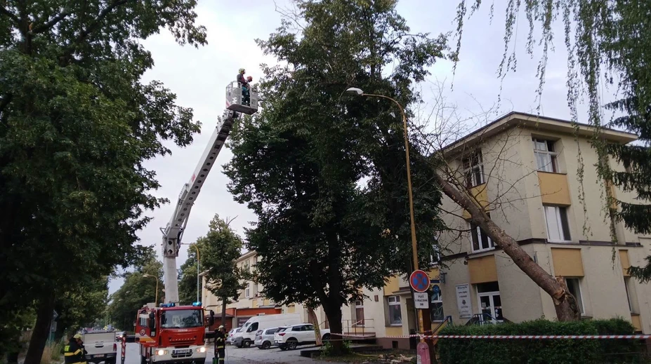 FOTO: Víchrica na Slovensku spôsobila energetickú kalamitu. Bez elektriny zostalo vyše 20-tisíc domácností