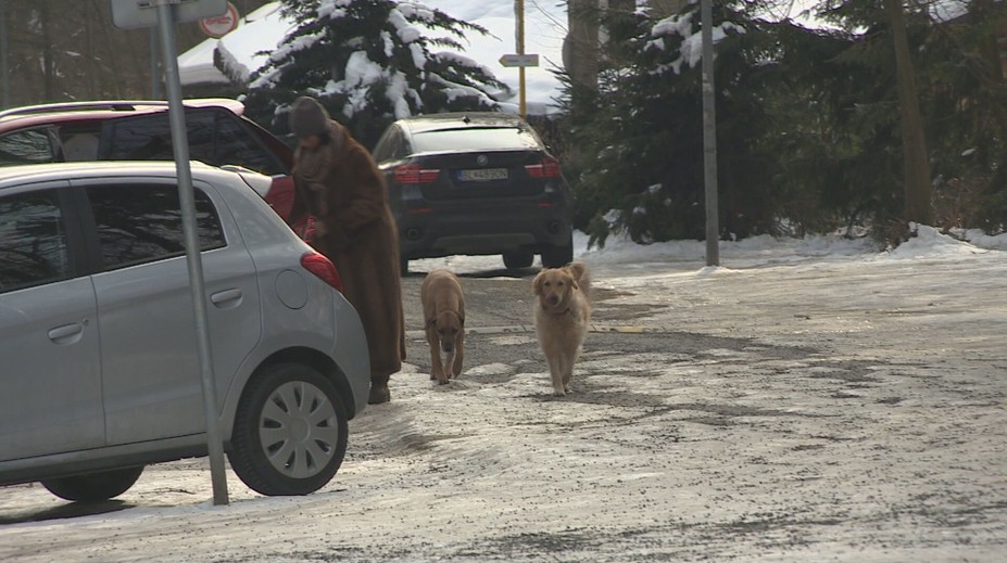 Teploty idú pod mínus 20 °C. Slovákov rozdelil posyp chodníkov, dôvodom je „agresívna soľ“
