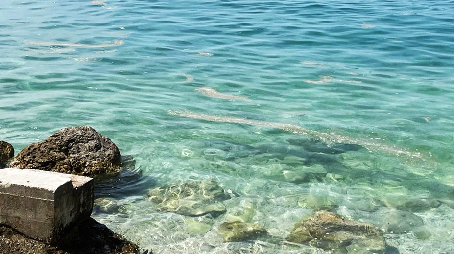 VIDEO: Turisti zúria. More v preslávenom chorvátskom letovisku zaplavili výkaly