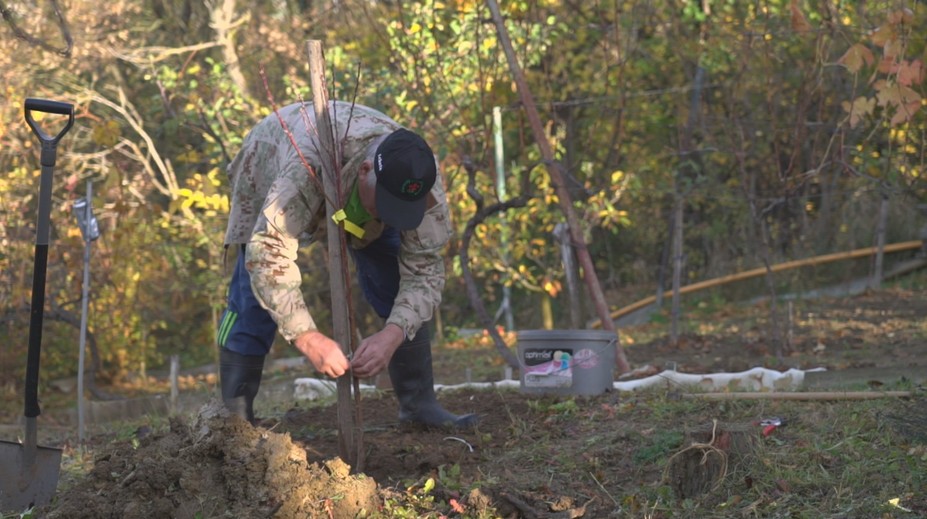 Záhradkári majú stále plné ruky práce. Čo všetko musia stihnúť do prvých mrazov?
