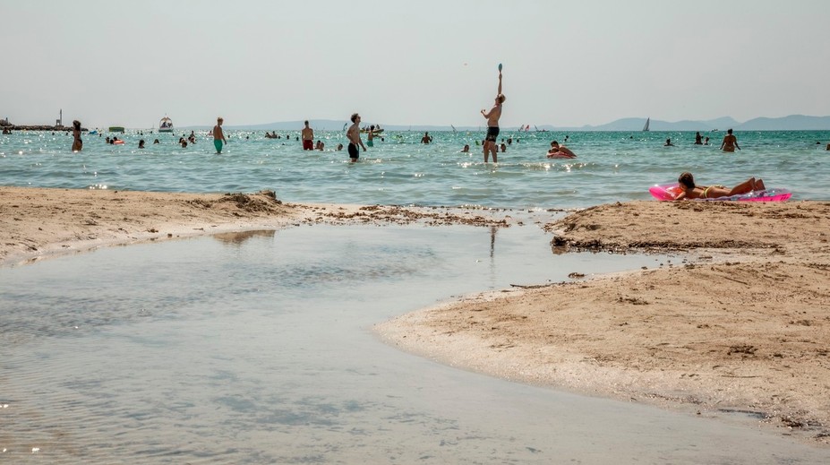 Na Malorke museli po útoku morského predátora zatvoriť pláž. Žene vytrhol z lýtka kus mäsa
